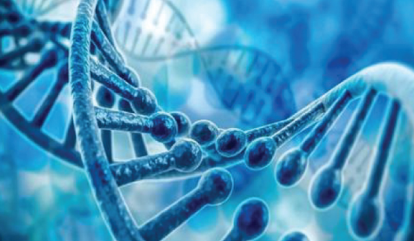 Microbiology & Immunology